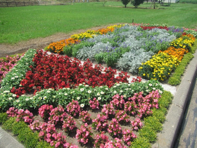 花壇コンクール　一般花壇の部