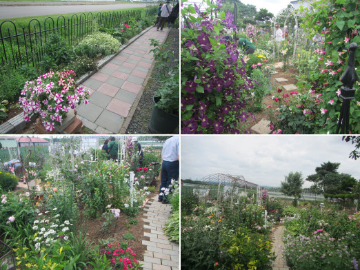 ガーデニング見学会