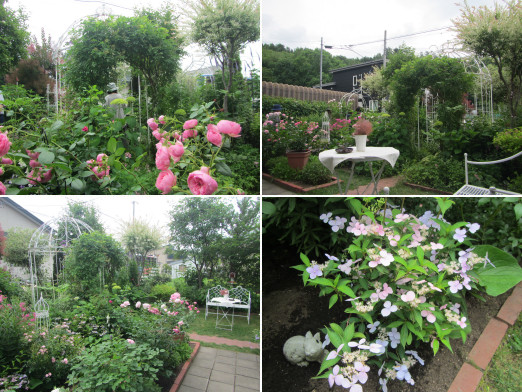 ガーデニング見学会