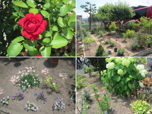 ガーデニング見学会