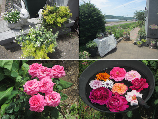 ガーデニング見学会