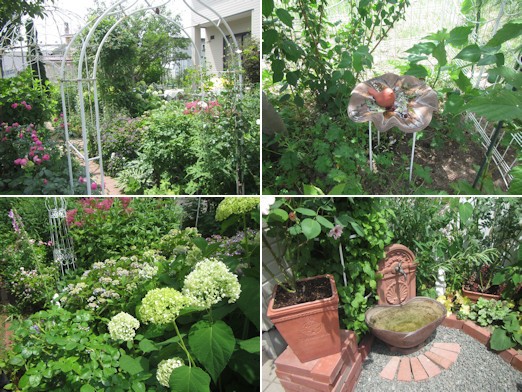 ガーデニング見学会