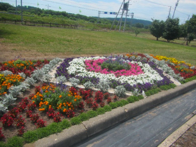 花壇コンクール　一般花壇の部