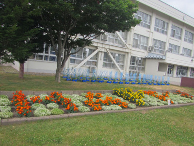 学校花壇コンクール　入賞作品